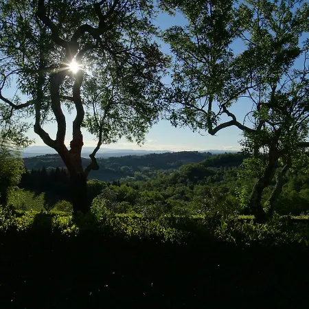 Santa Maria Della Pace Bed & Breakfast *