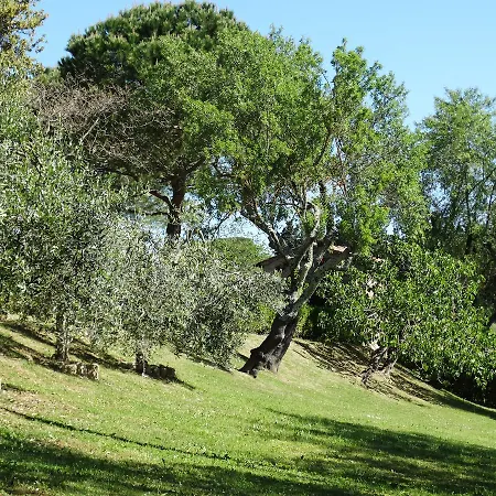 Santa Maria Della Pace Bed & Breakfast Montespertoli